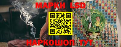 спиды Обь